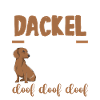 Hund Dackel