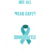 PTSD Heroes