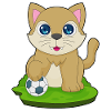 Cat Soccer Player Soccer