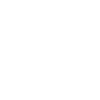 Pensioner pension