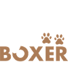 Aimé par un boxeur