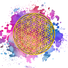 The Flower of Life