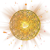 Flower of life shining
