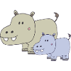 Hippopotamus father and son