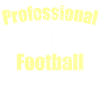 Professional Fantasy Football Player
