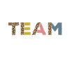 Rehab Team
