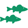 Pisces