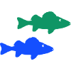 Pisces