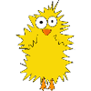 Chick png