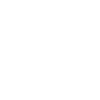 Amir