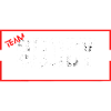Team rugby red