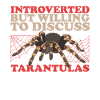 Tarantulas Spider Tarantula Gift