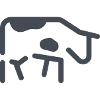 cow
