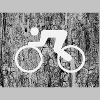 Rennrad
