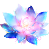 Meditation flower