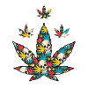Cannabis Marijuana Weed Smoking
