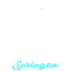 Turmspringenspringer