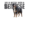 Bernese Mountain Dog
