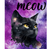 Galaxy cat