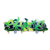Skate Graffiti