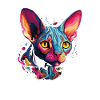 sphynx cat