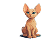 sphynx cat