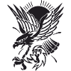Aigle approchant