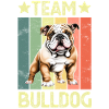 Dog English Bulldog