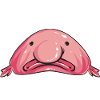 Blob fish