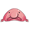 Blob fish