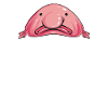 Blob fish