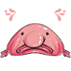 Blob fish