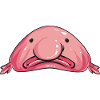 Blob fish