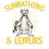 Lemur Catta Ring-tailed lemur