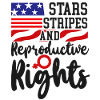 Stars féministes Rayures &