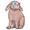 Rabbit Glasses