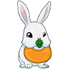 Bunny bib pacifier