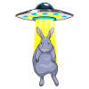 Rabbit Spaceship Space