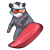 Possum Snowboarder Snowboard
