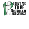 Fierté nigériane Drapeau nigérian