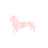 Hund Dackel