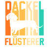 Hund Dackel