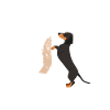 Hund Mutter Mama Dackel