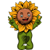Sonnenblume