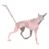 Illustration Katze (Sphynx) - flat cat