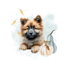 Autumn Eurasier | Watercolour