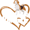 Cœur de Beagle