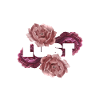 "Lust" with pink roses background