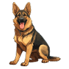 German Shepherd Illustration Herding Dog