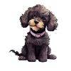 Cute Poodle, Dogs Illustration - Poodle